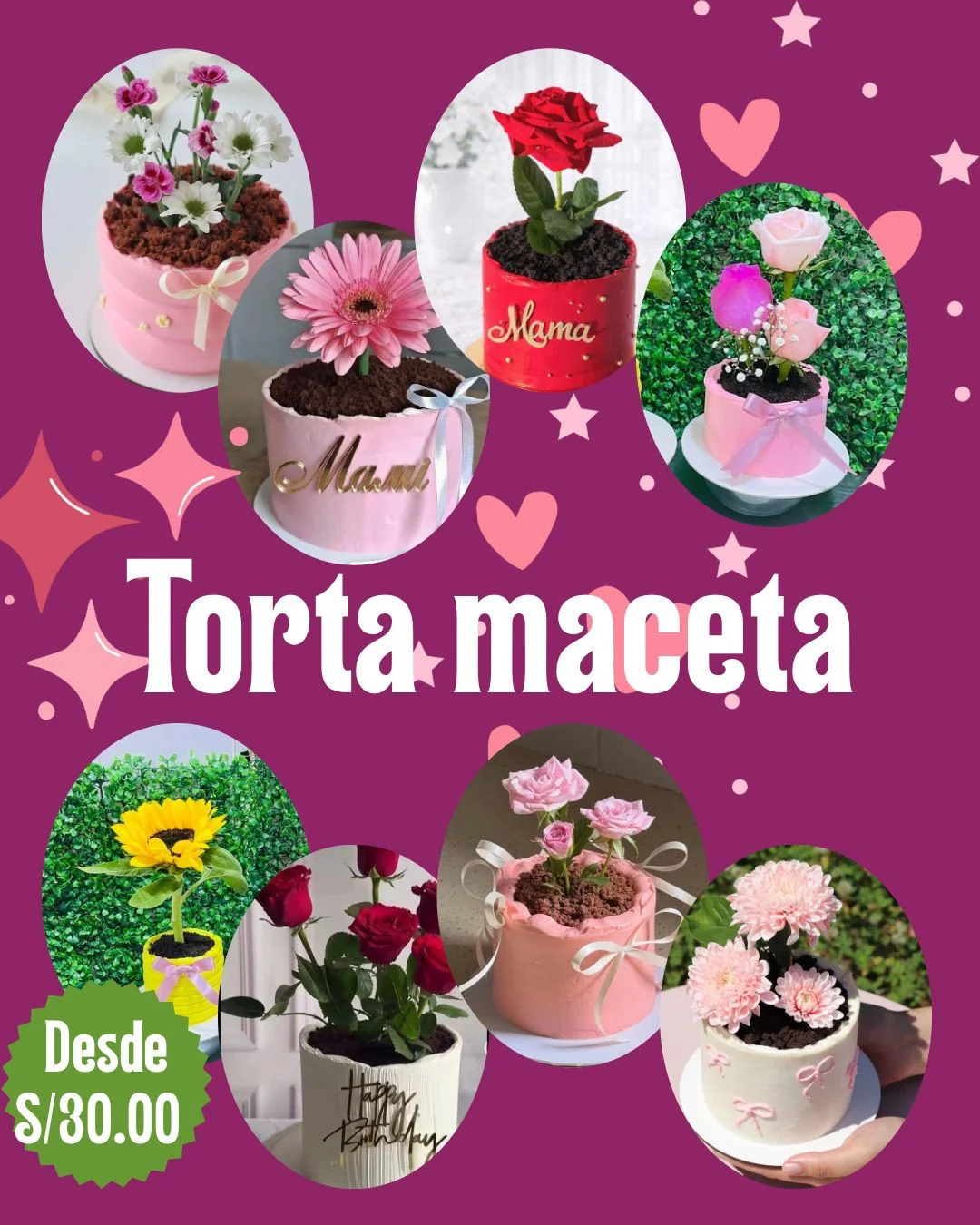 Torta Maceta